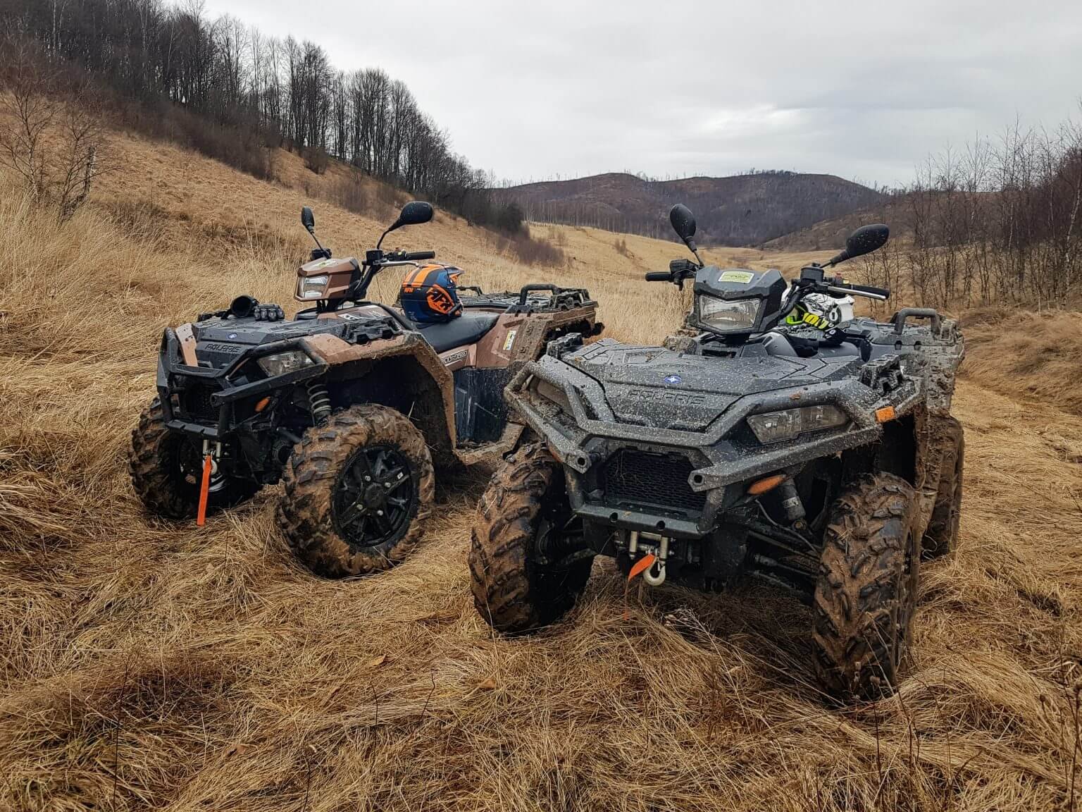 Four wheeler vs Quad vs ATV – What Is The Main Difference | Fodsports Blog