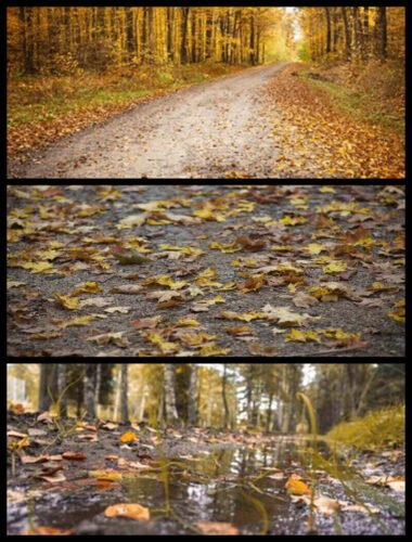 mud and wet leaves on roads